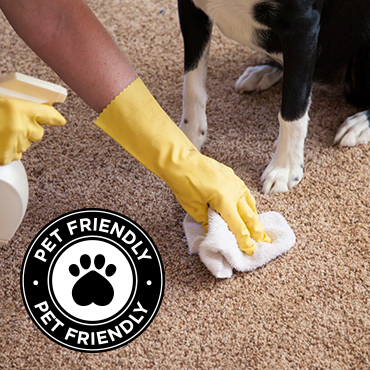 Pet Friendly Cleaning